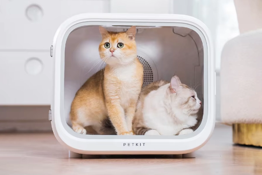 pet box dryer